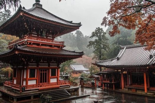 ⛩️ 神社本庁VS個人神社：その違いと参拝時に知っておきたいポイント ⛩️